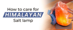 The Complete Handbook on How to care for Himalayan salt lamp